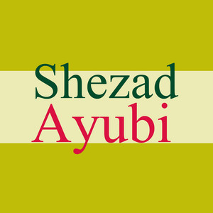 Shehzad Ayubi - Hasi Khoshan
