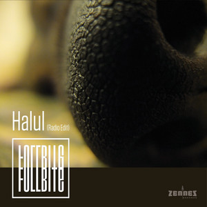 Halul (Radio Edit)