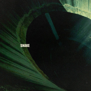 Snake by Blame
