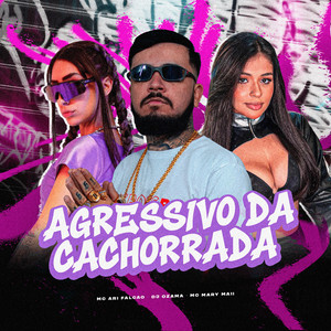 AGRESSIVO DA CACHORRADA