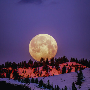 Moonlight