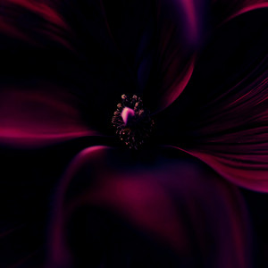 Hold The Night With Me by Osckar Guld