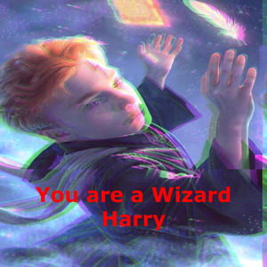 You are a Wizard Harry