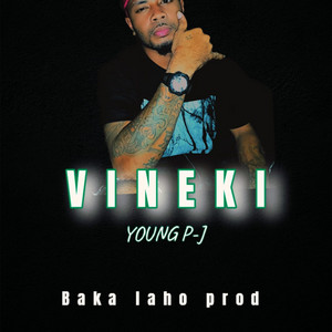 P.bradz - Vineki (Young P J)