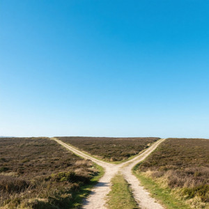 Two Roads Ahead