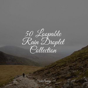 50 Loopable Rain Droplet Collection album