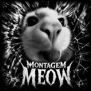 MONTAGEM MEOW (SUPER SLOWED) by Strxnger