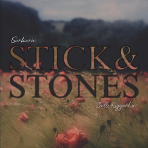 Stick and Stones by Sarkaria, Balli Rajgarhia