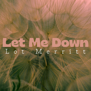 Let Me Down by Lot Merritt