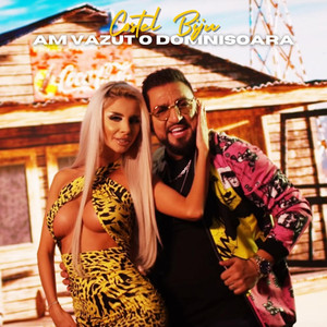 Costel Biju - Am vazut o domnisoara