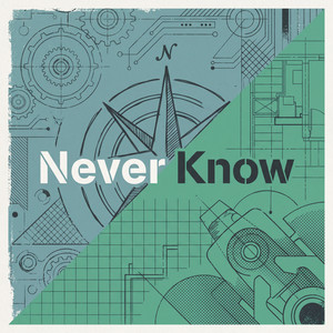 Never Know by Lucia de Wit