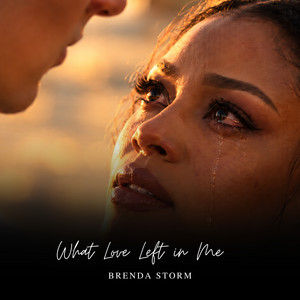 What Love Left in Me by Brenda Storm