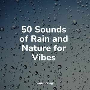 50 Sounds of Rain and Nature for Vibes album