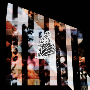 album cover: RETURN OF LIGHT OF NO RETURN