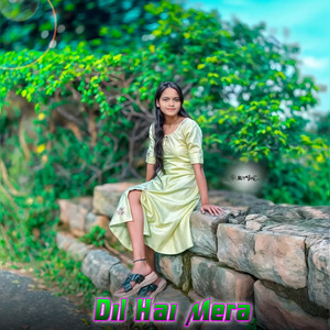 Hindi Mashup - Dil Hai Mera