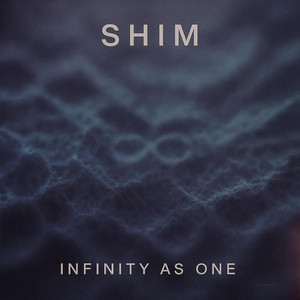 INFINITY AS ONE by Shim, Stan Sinitsky