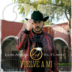 Luis Angel "El Flaco" - Vuelve a Mí