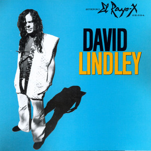 Mercury Blues by David Lindley
