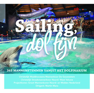 Sailing dolfijn