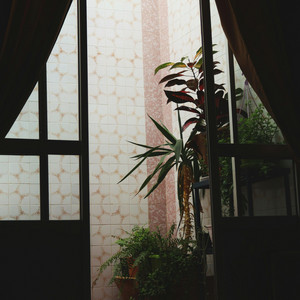 Indoor Oasis by Dean Merrick
