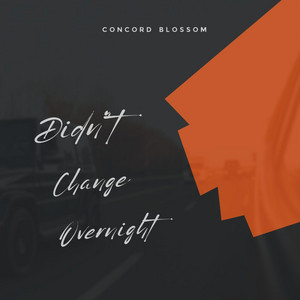 Didn't Change Overnight by Concord Blossom