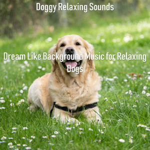 Dream Like Background Music for Relaxing Dogs album