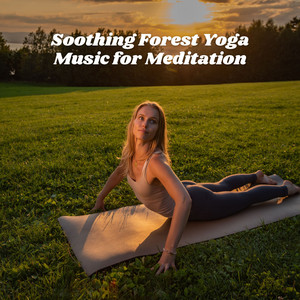 Soothing Forest Yoga Music for Meditation album