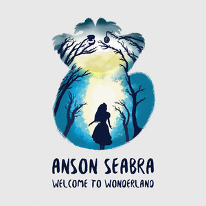 Welcome to Wonderland by Anson Seabra