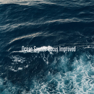 Focus Improved album