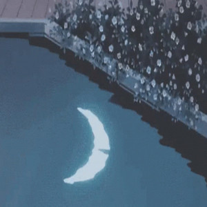 moonlight on the river ending by akazzza47