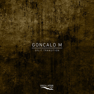 Goncalo M - Structured Transition album artwork