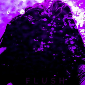 Portada de Flush