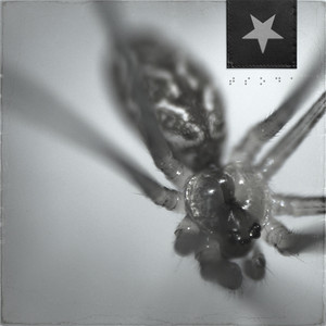 Another Falling Star by The Smell of Dead Animals