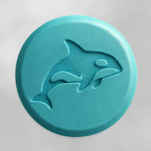 Orca
