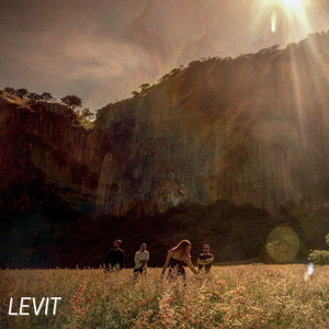 Levit