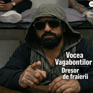Dresor de fraierii by VOCEA BAGABONTILOR