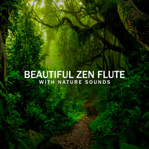 Beautiful Zen Flute with Nature Sounds: Forest, Birds, Ocean Waves and Rain album