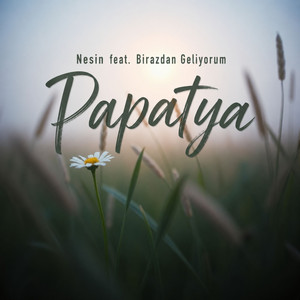 Papatya by Nesin, Birazdan Geliyorum