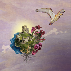 Alcaraván cover