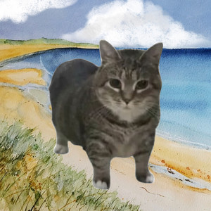 OIIA Cat - blue - yung kai (oiia spinning cat version)