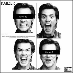 Kaiizer - Are You Dumb?