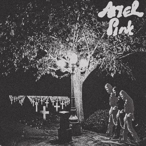 I'm Nothing Without You (Bells And Whistles) by Ariel Pink, MGMT, patrick wemberly
