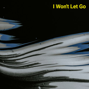 I Won't Let Go by LOBI BAND