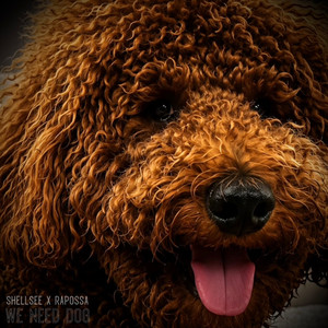 Shellsee — We Need Dog (2026)