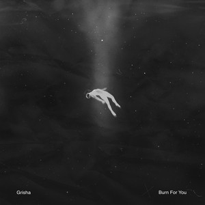 Burn For You by Grisha