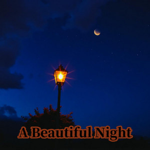 A Beautiful Night by Gregary Lytton