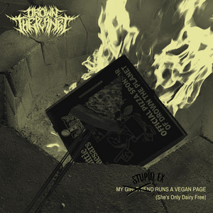 MY STUPID EX RUNS A VEGAN PAGE (She's Only Dairy Free)