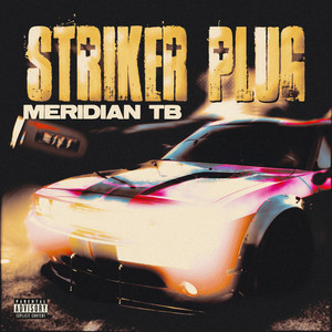 STRIKER PLUG by Meridian TB