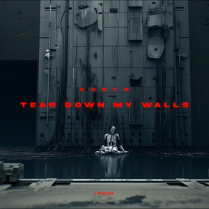 Tear Down My Walls by KODYN