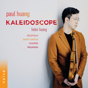 Violin Sonata No. 1 in D Minor, Op. 75: III. Allegro moderato